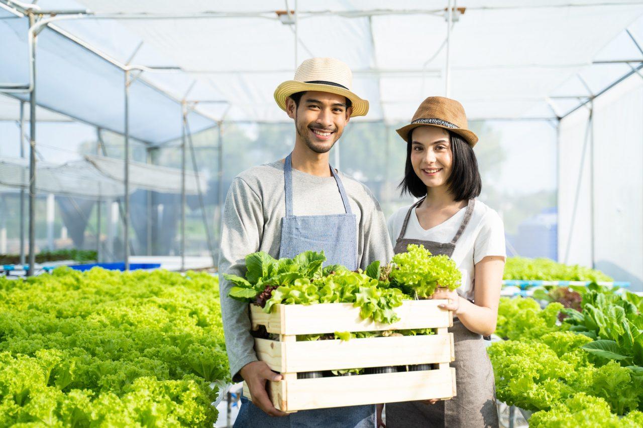 two-young-asian-couple-farmers-working-in-vegetables-hydroponic-farm-with-happiness- jpg