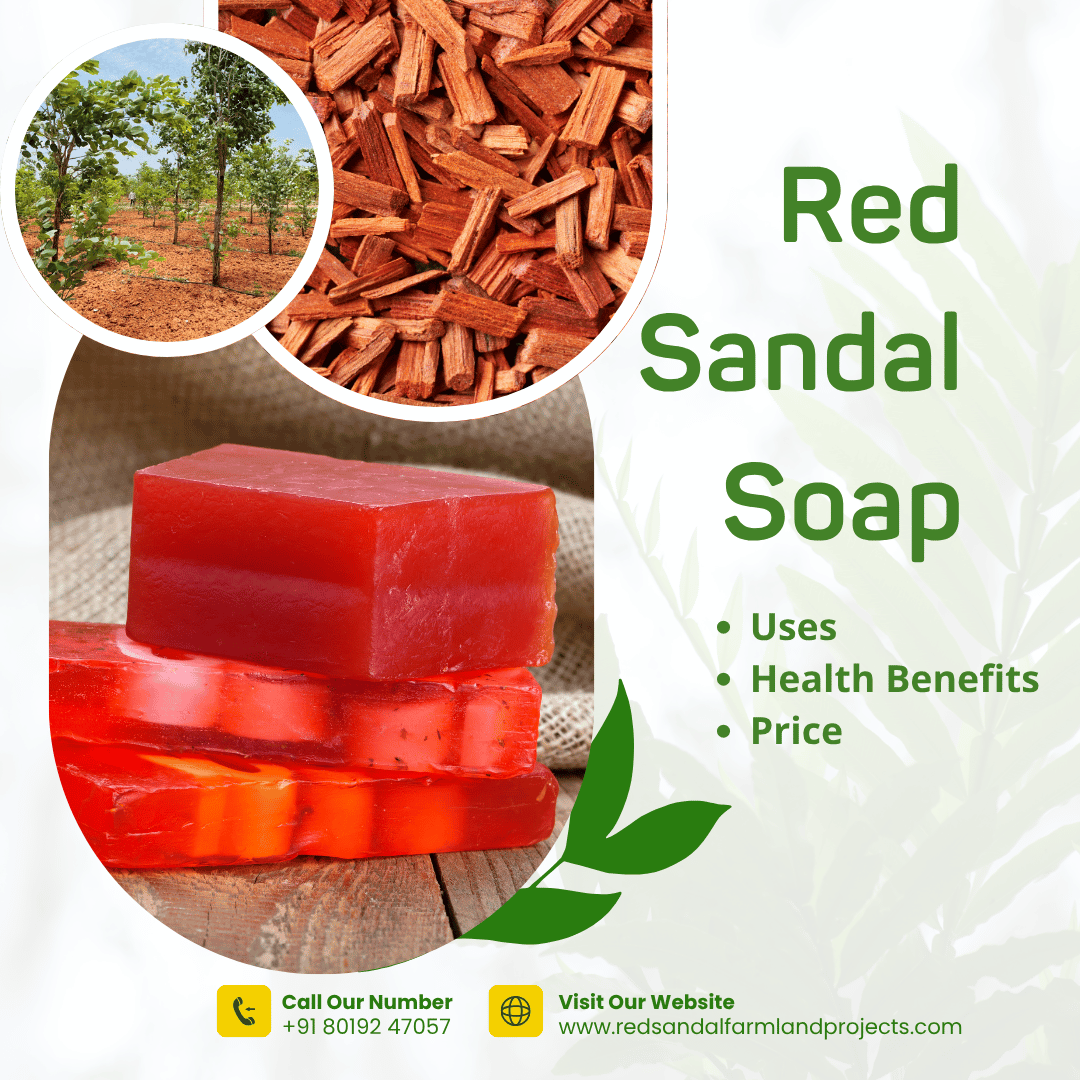 Red Sandal Soap - Uses- Health Benefits- Price